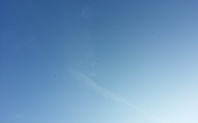 辅导分享系列 8 : “自由”