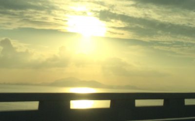 Mentoring Article Series #3: “Unrealistic Expectation”